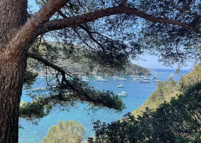 Belle Provencale Avec Piscine Privee Villa